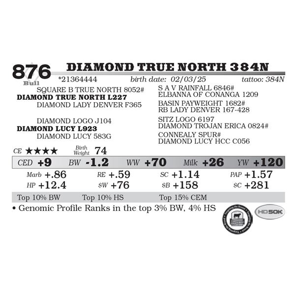 Diamond True North 384N
