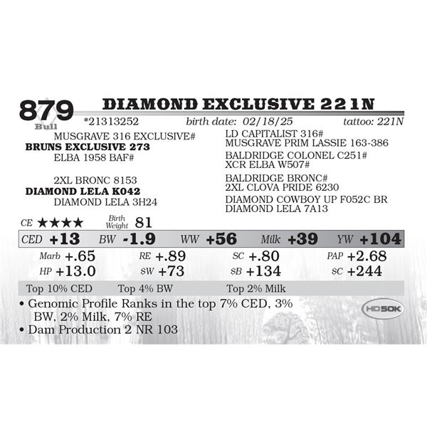 Diamond Exclusive 221N