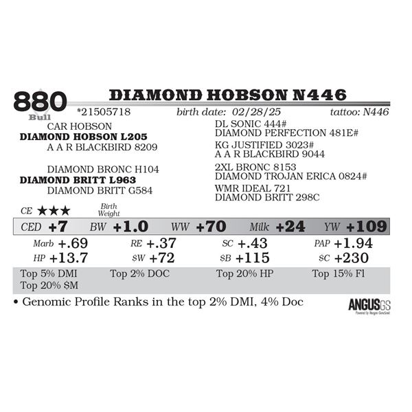 Diamond Hobson N446