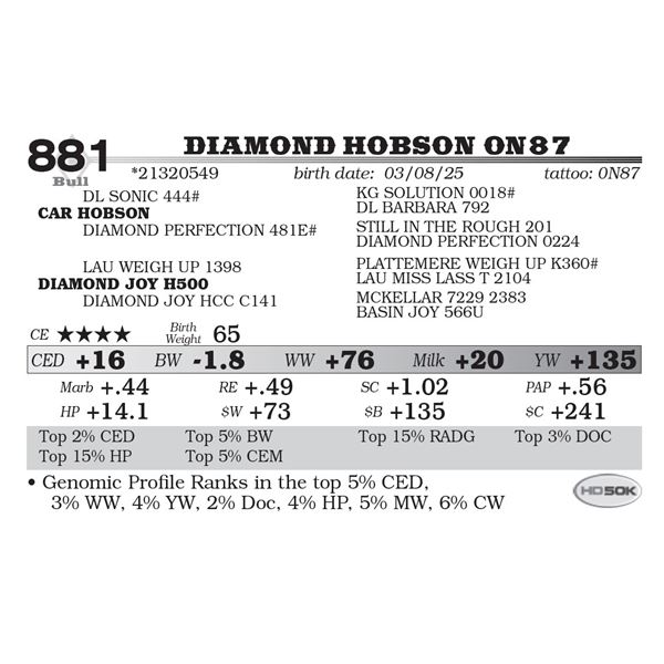 Diamond Hobson 0N87