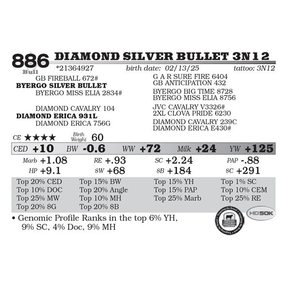 Diamond Silver Bullet 3N12