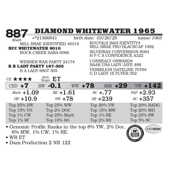 Diamond Whitewater 1965