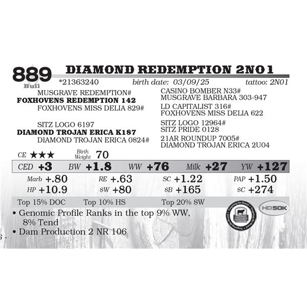 Diamond Redemption 2N01