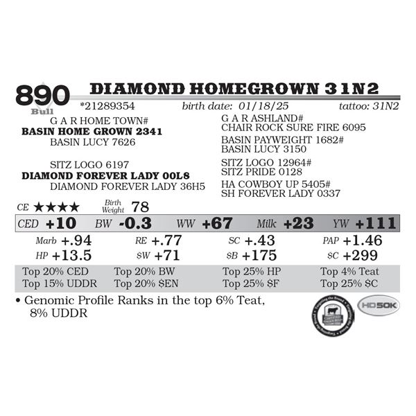 Diamond Homegrown 31N2