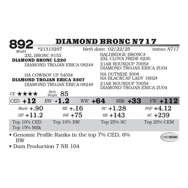 Diamond Bronc N717