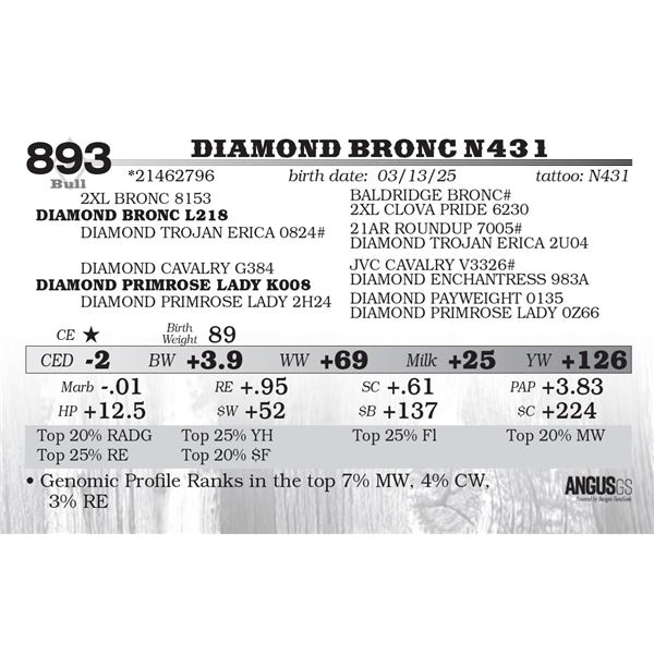 Diamond Bronc N431
