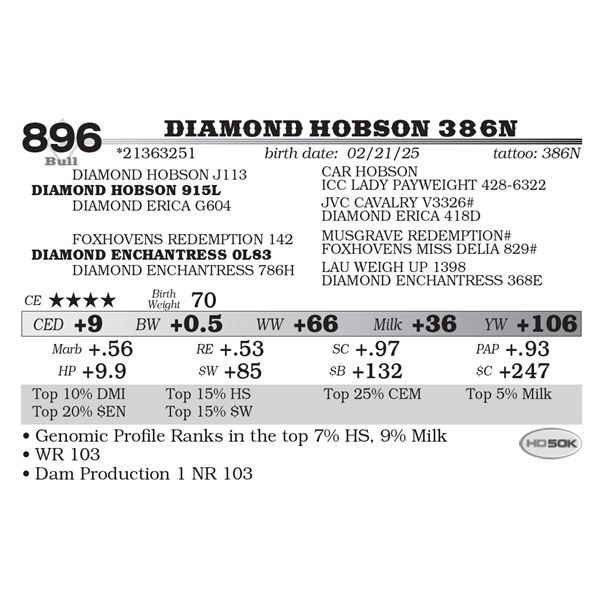 Diamond Hobson 386N
