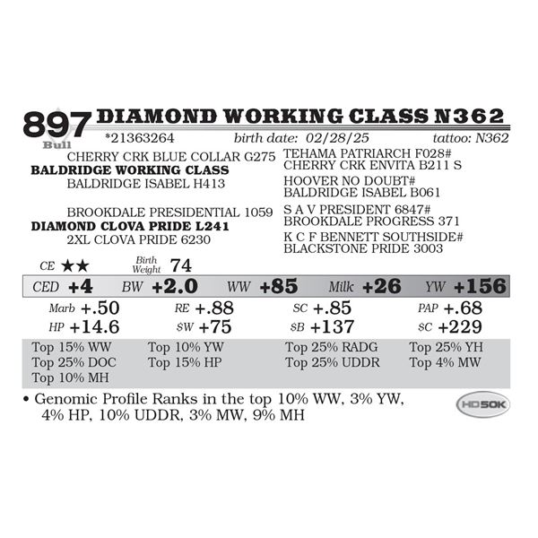 Diamond Working Class N362