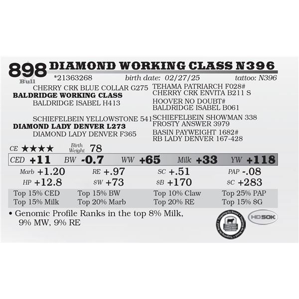 Diamond Working Class N396