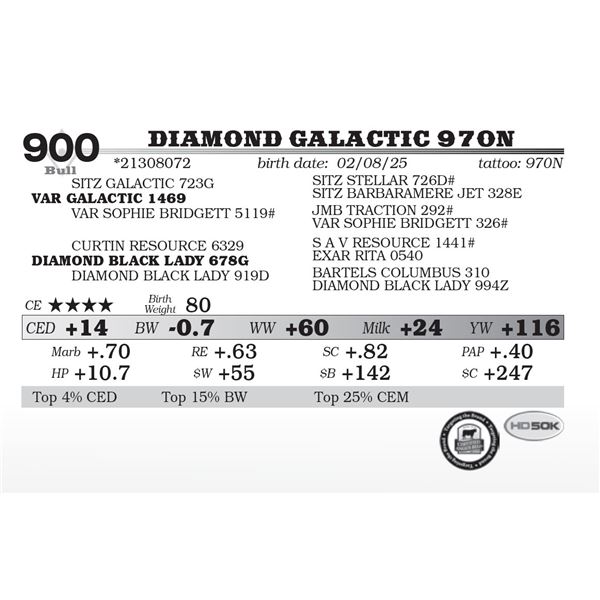 Diamond Galactic 970N