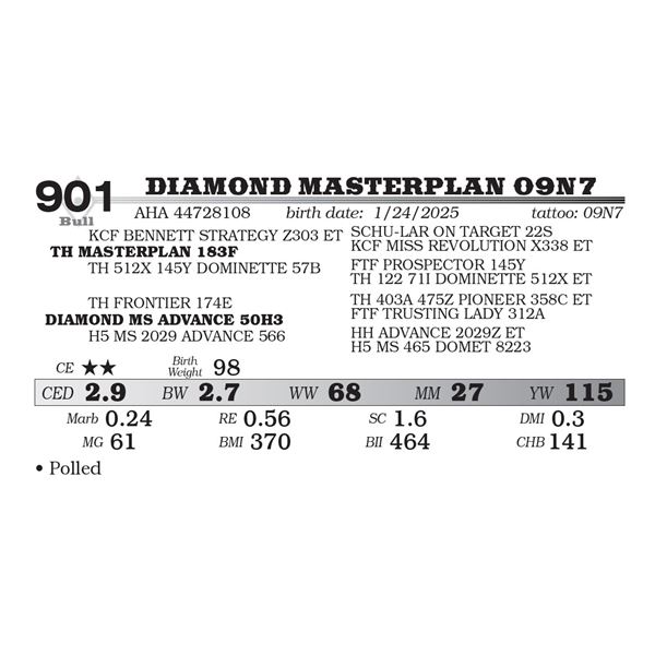 DIAMOND MASTERPLAN 09N7