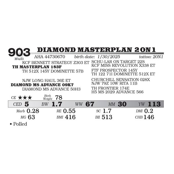 DIAMOND MASTERPLAN 20N1