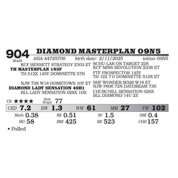 DIAMOND MASTERPLAN 09N5