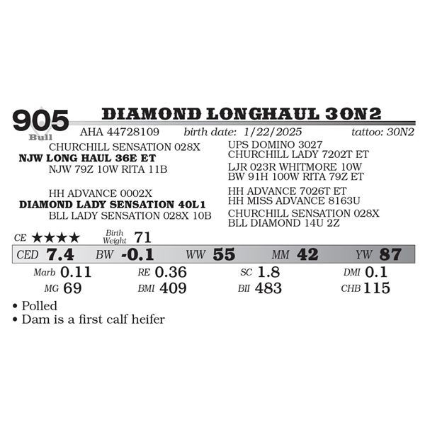 DIAMOND LONGHAUL 30N2