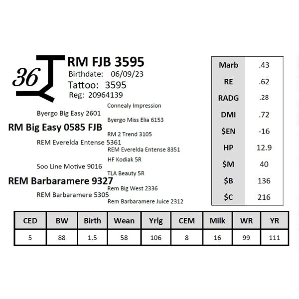 RM FJB 3595