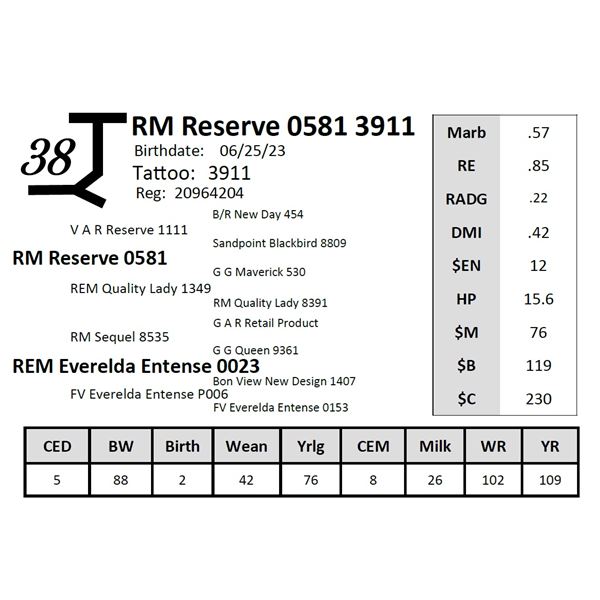 RM Reserve 0581 3911