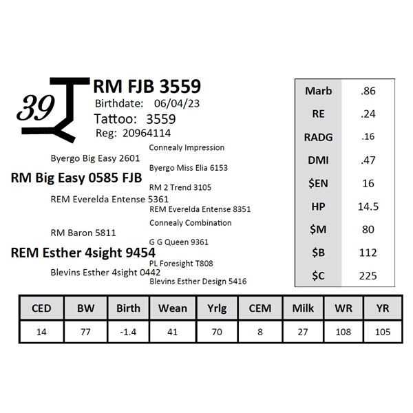 RM FJB 3559