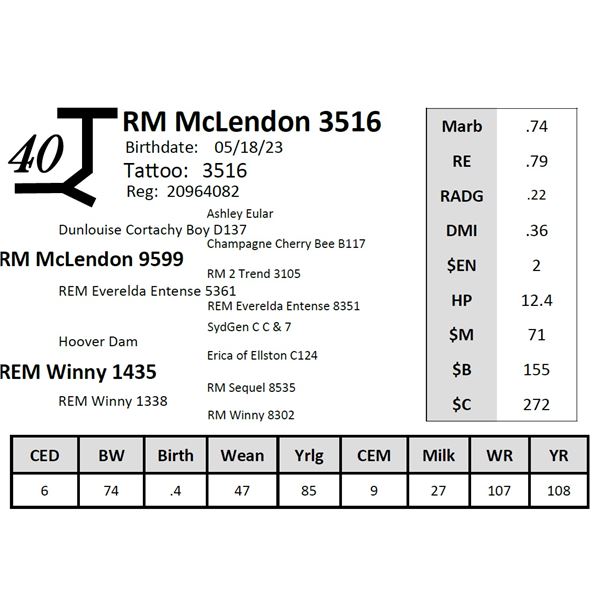 RM McLendon 3516
