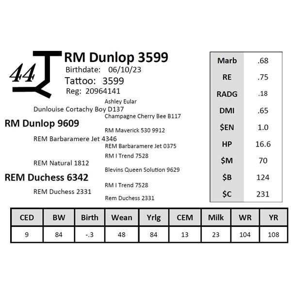 RM Dunlop 3599