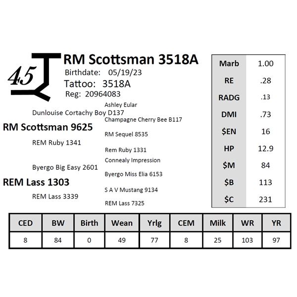 RM Scottsman 3518A