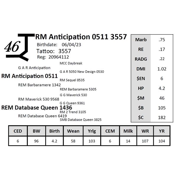 RM Anticipation 0511 3557