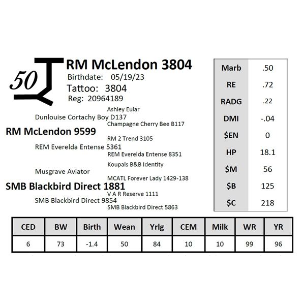 RM McLendon 3804