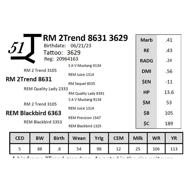 RM 2Trend 8631 3629