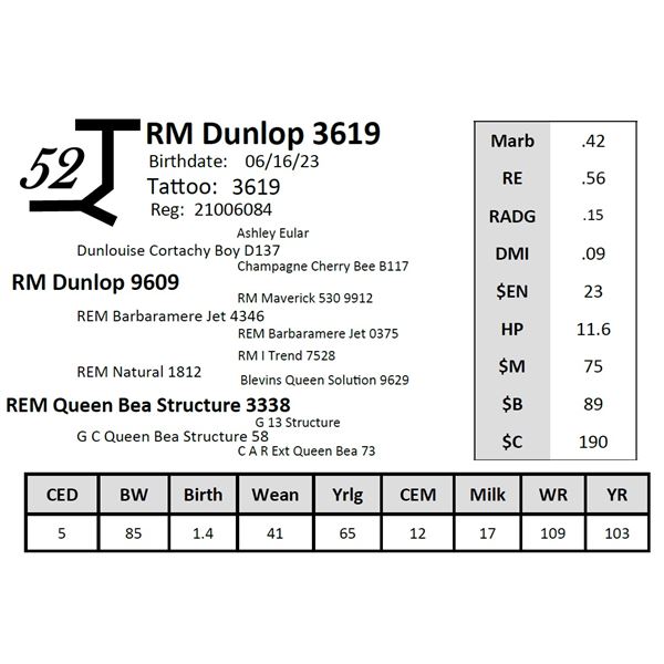 RM Dunlop 3619