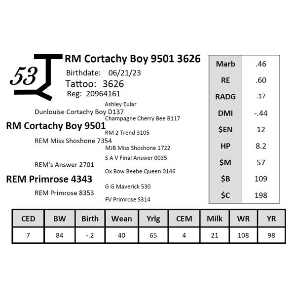 RM Cortachy Boy 9501 3626