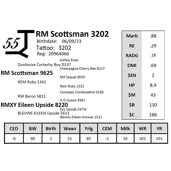 RM Scottsman 3202