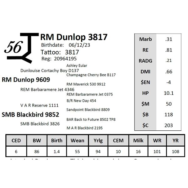 RM Dunlop 3817