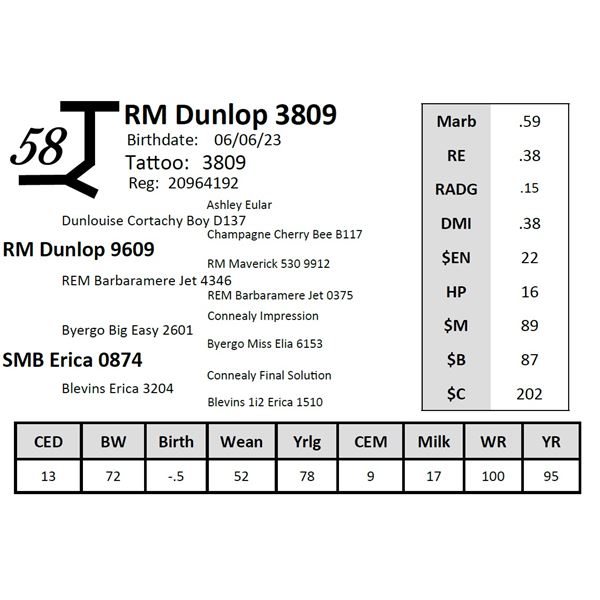 RM Dunlop 3809