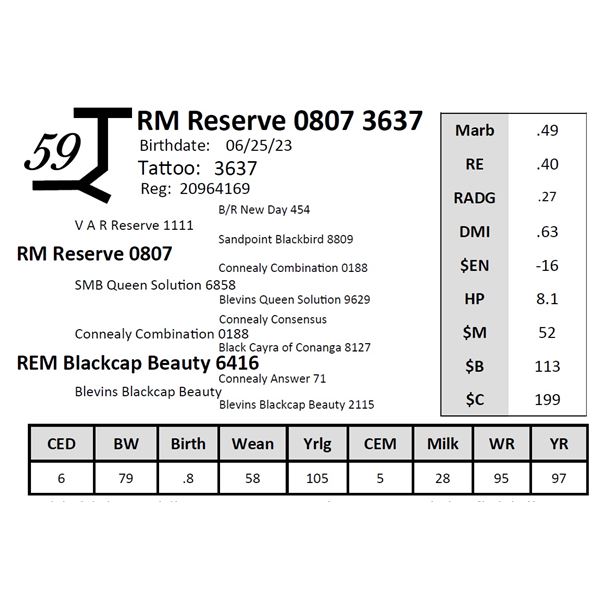 RM Reserve 0807 3637