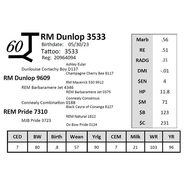 RM Dunlop 3533