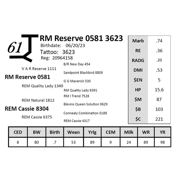 RM Reserve 0581 3623