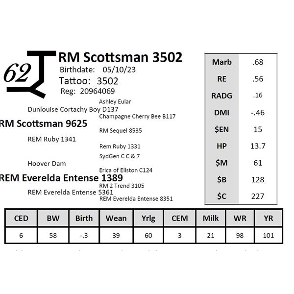 RM Scottsman 3502