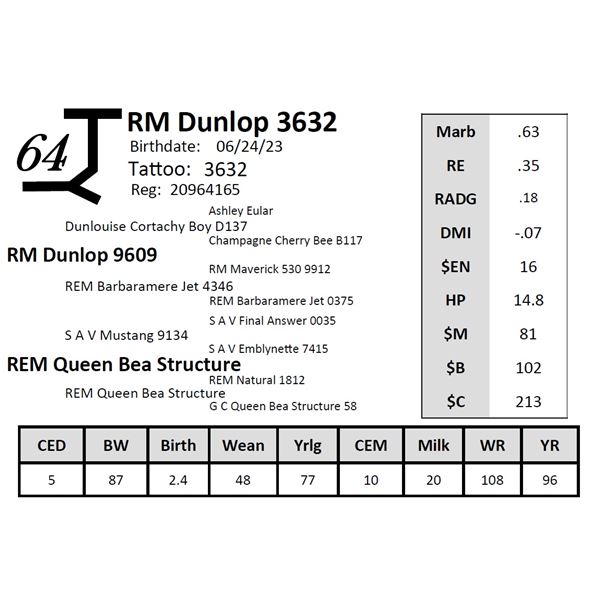 RM Dunlop 3632