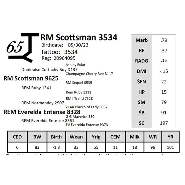 RM Scottsman 3534