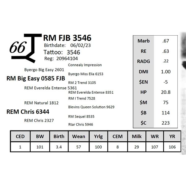 RM FJB 3546