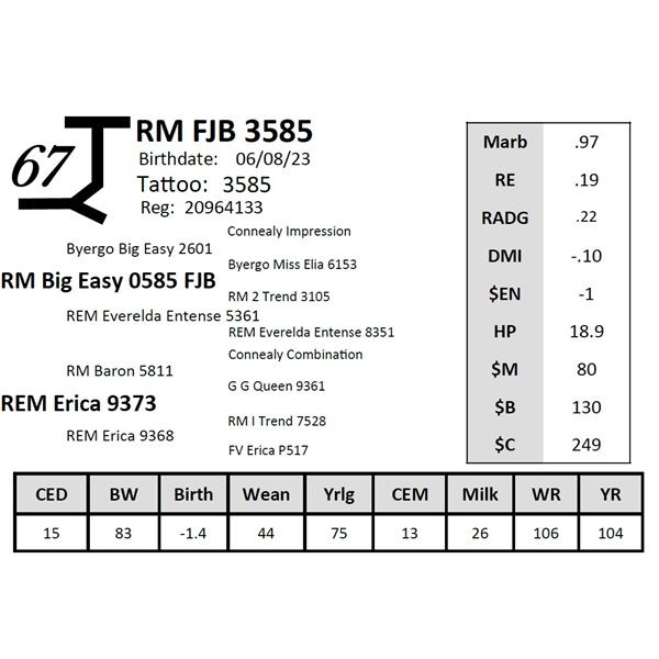 RM FJB 3585
