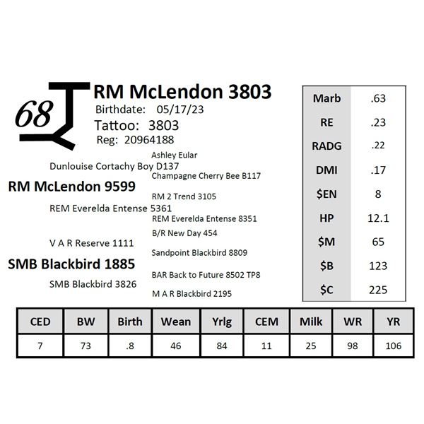 RM McLendon 3803
