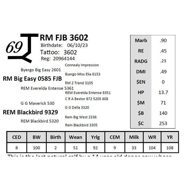 RM FJB 3602