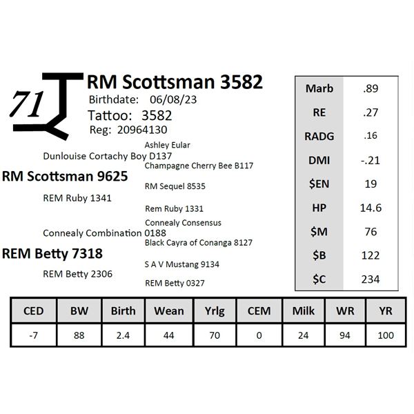 RM Scottsman 3582