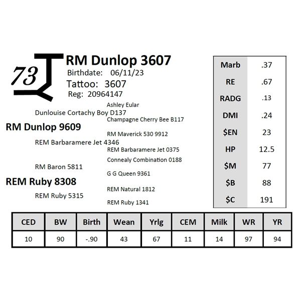 RM Dunlop 3607