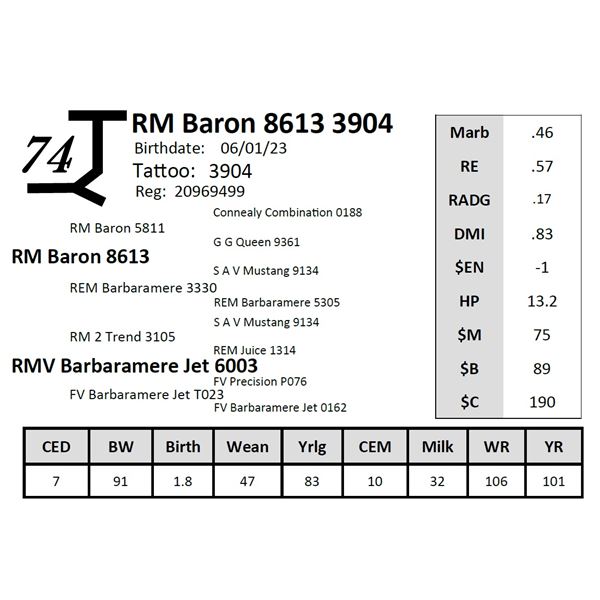 RM Baron 8613 3904