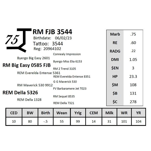 RM FJB 3544