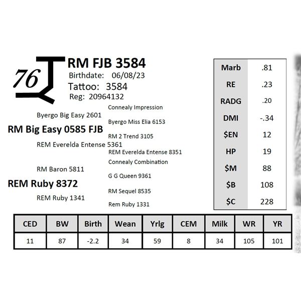 RM FJB 3584