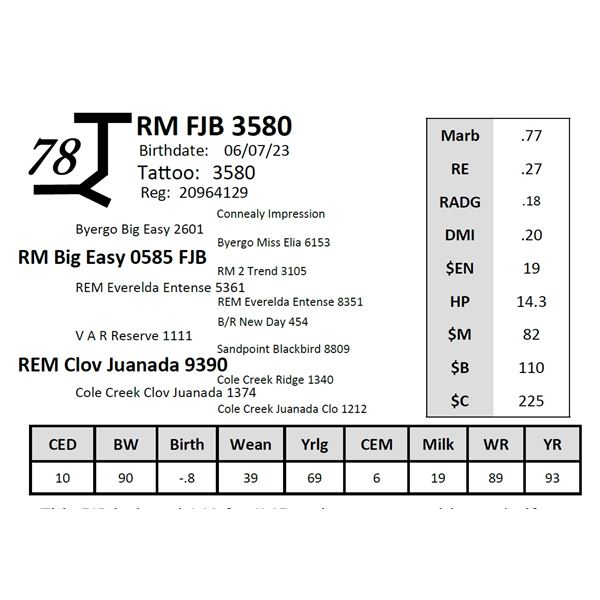 RM FJB 3580