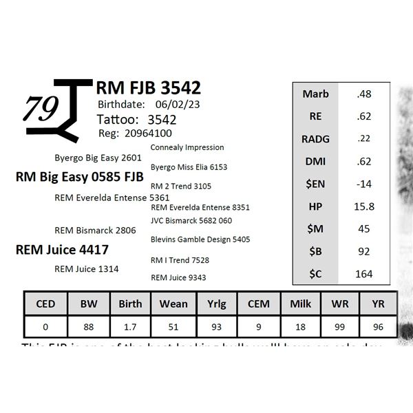 RM FJB 3542