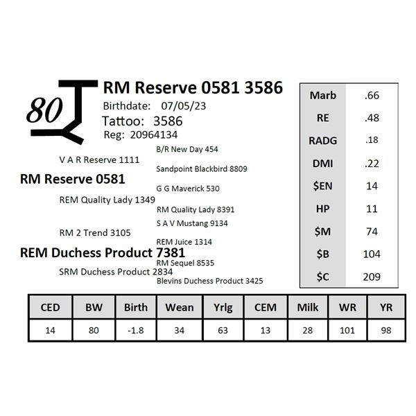 RM Reserve 0581 3586
